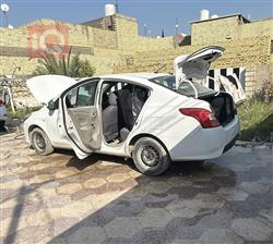 نيسان صني